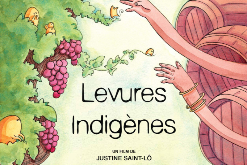 Levures indigènes
